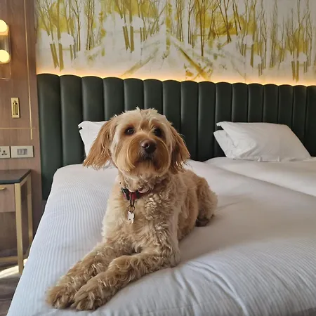 Hilton Kilmainham 4* Dublin