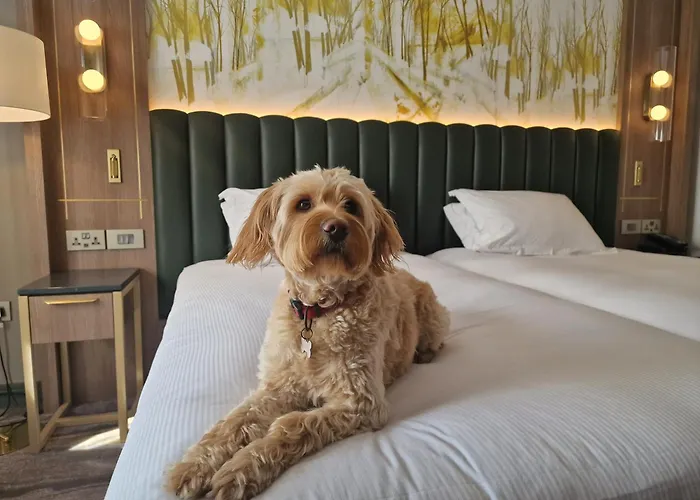 Hilton Kilmainham 4* Dublín